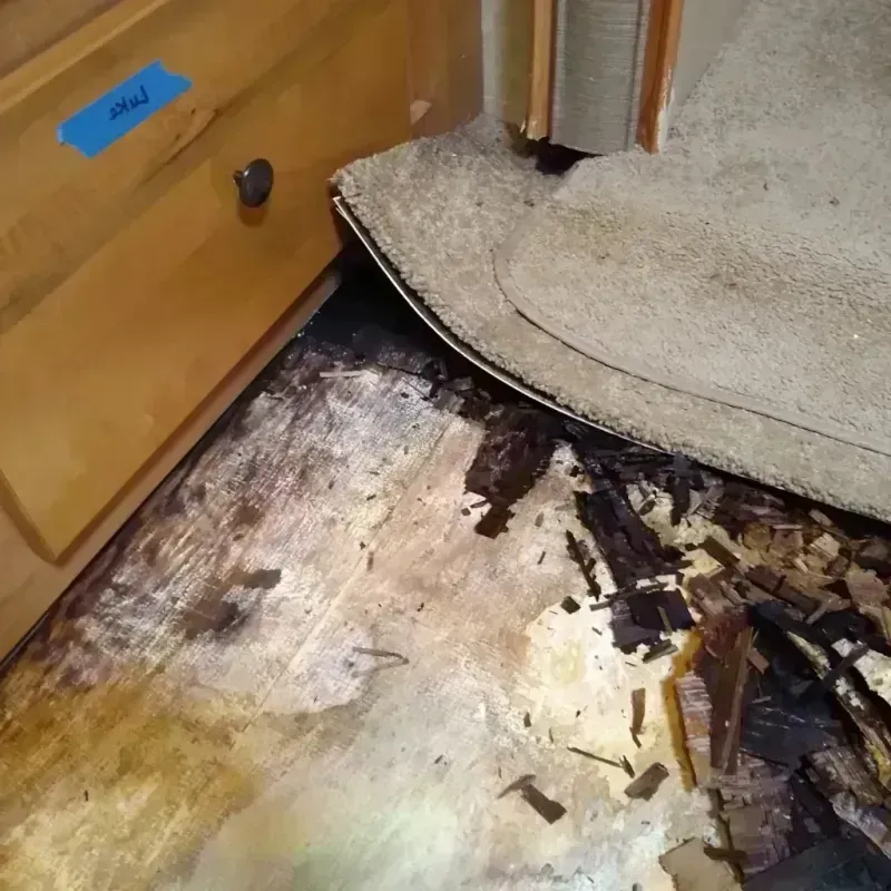 Wood Floor Water Damage in Henderson, TX